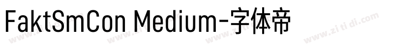 FaktSmCon Medium字体转换